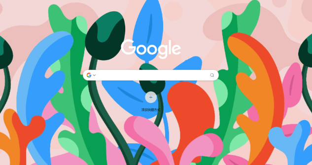 Google浏览器插件访问网页速度优化