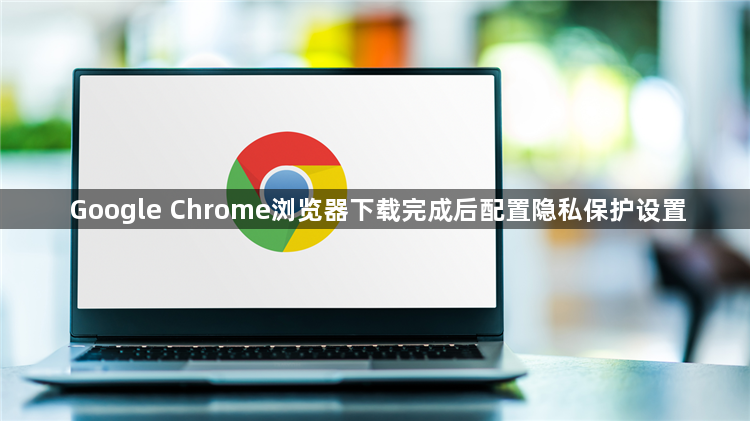 Google Chrome浏览器下载完成后配置隐私保护设置1