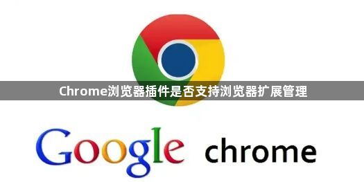 Chrome浏览器插件是否支持浏览器扩展管理1