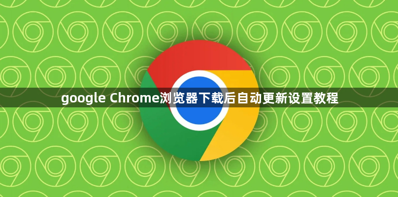 google Chrome浏览器下载后自动更新设置教程1
