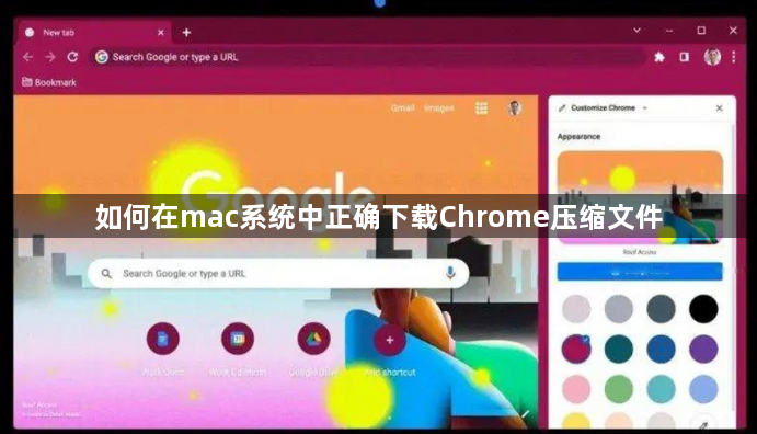 如何在mac系统中正确下载Chrome压缩文件1