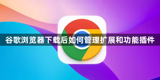 谷歌浏览器下载后如何管理扩展和功能插件1