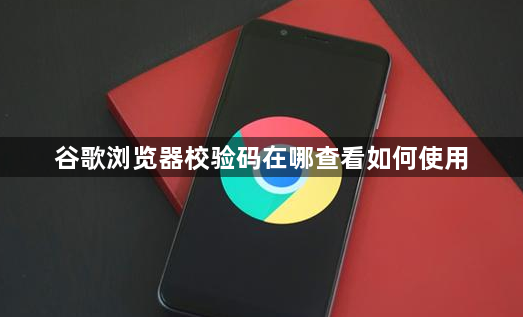 谷歌浏览器校验码在哪查看如何使用1