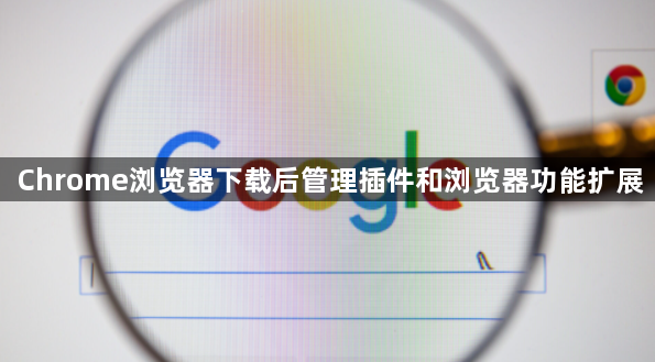 Chrome浏览器下载后管理插件和浏览器功能扩展1