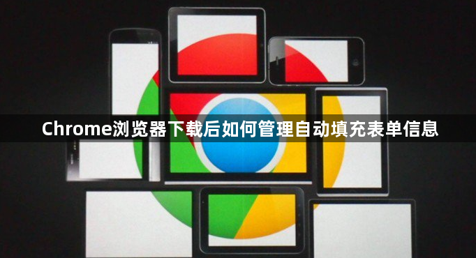 Chrome浏览器下载后如何管理自动填充表单信息1