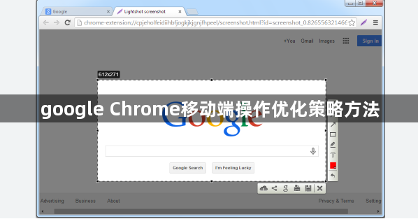 google Chrome移动端操作优化策略方法1