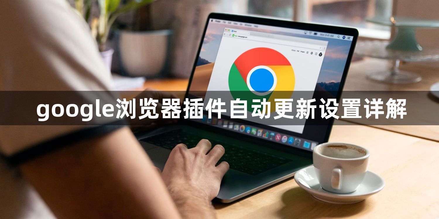 google浏览器插件自动更新设置详解1