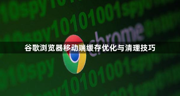 谷歌浏览器移动端缓存优化与清理技巧1